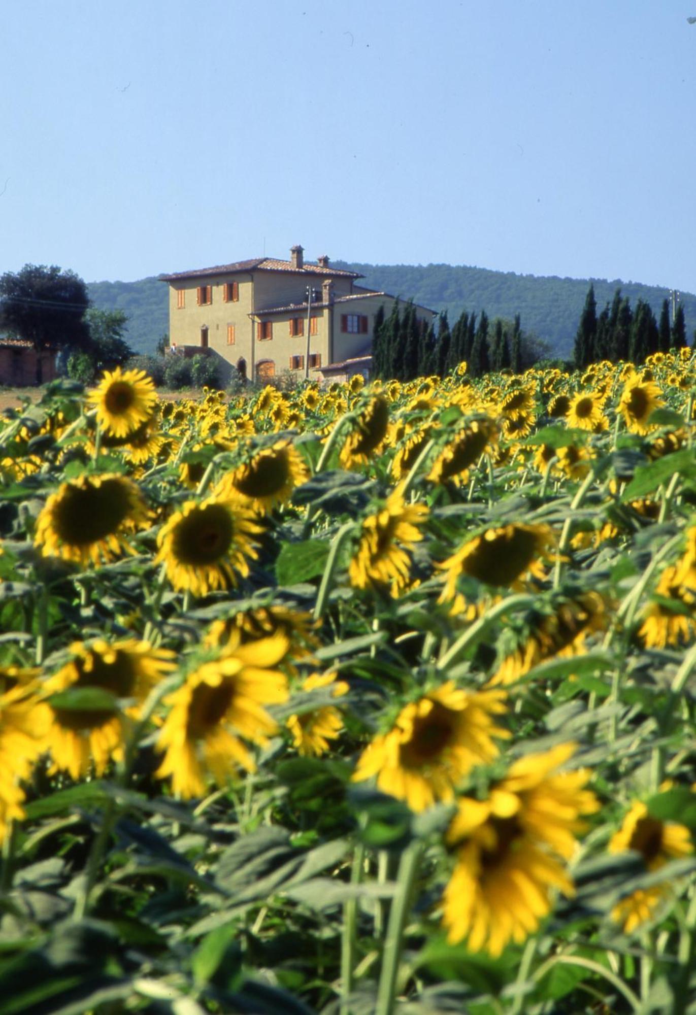 Agriturismo Palazzo Bandino - Wine Cellar, On Reservation Restaurant And Spa Chianciano Terme Exterior photo